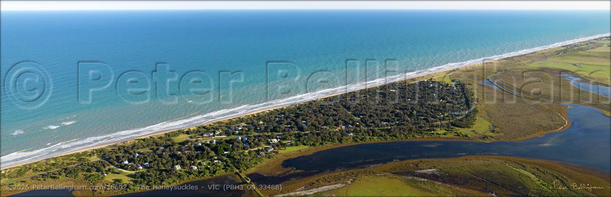 Peter Bellingham Photography The Honeysuckles - VIC (PBH3 00 33488)